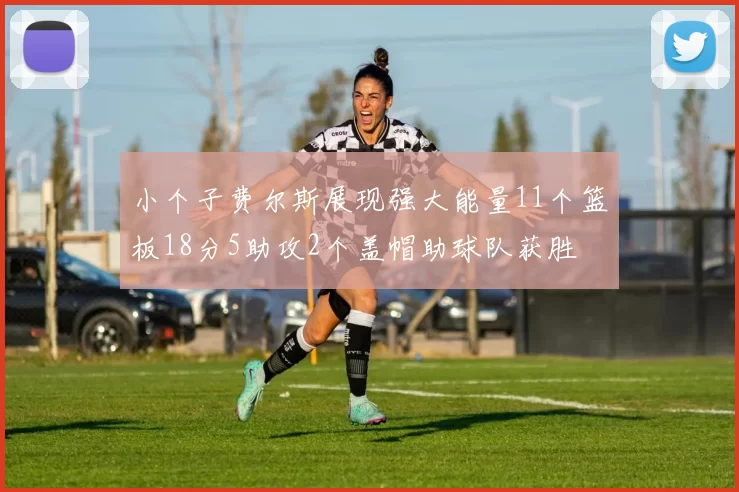 小个子费尔斯展现强大能量11个篮板18分5助攻2个盖帽助球队获胜